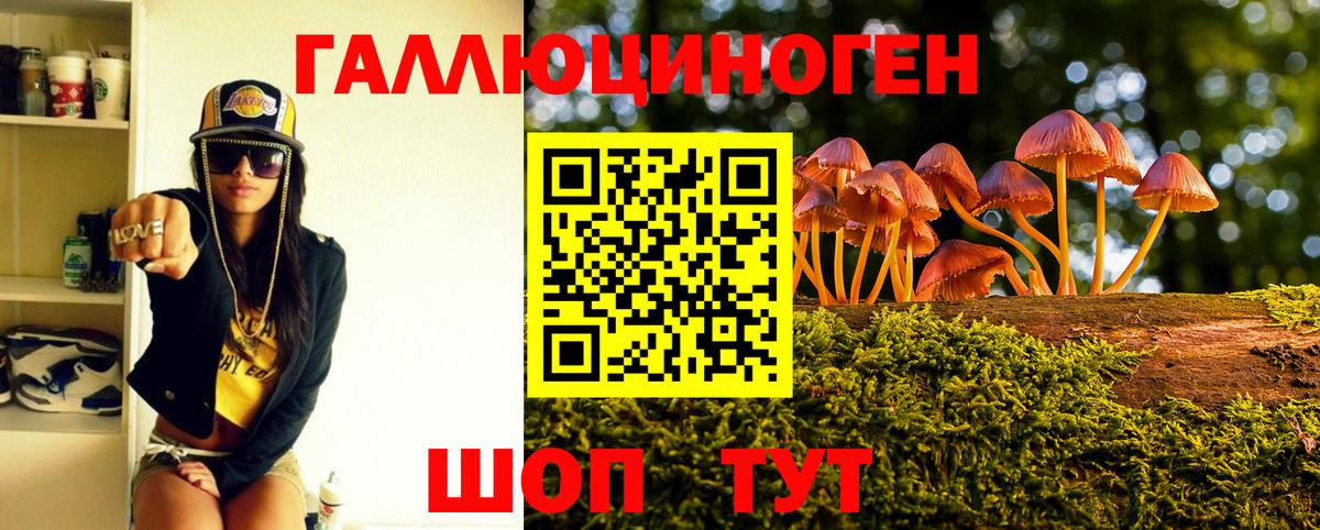 Воркута  Псилоцибиновые грибы GOLDEN TEACHER  Вход с VPN 